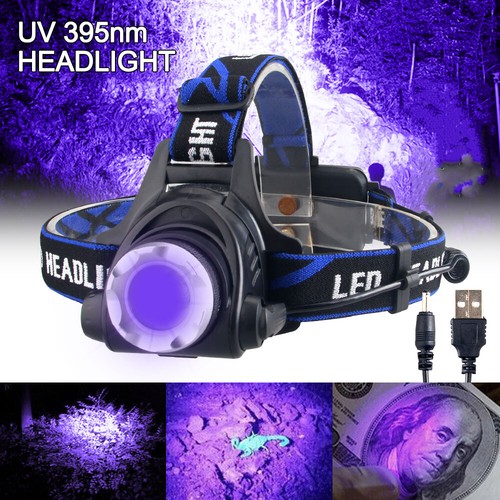395nm light led headlamp - light,